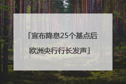 宣布降息25个基点后 欧洲央行行长发声