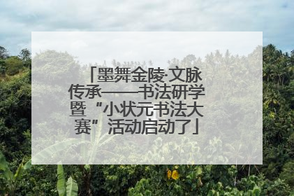 墨舞金陵·文脉传承——书法研学暨“小状元书法大赛”活动启动了