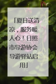 夏日送清凉，服务暖人心！日照市导游协会导游驿站启用