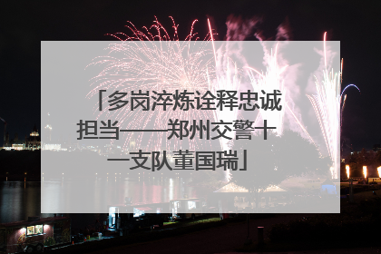 多岗淬炼诠释忠诚担当——郑州交警十一支队董国瑞