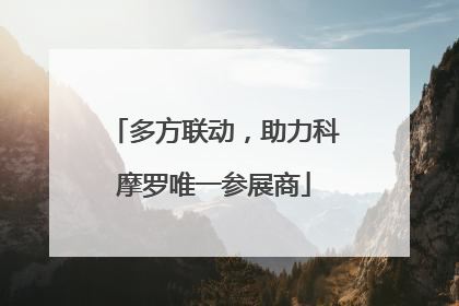 多方联动，助力科摩罗唯一参展商