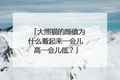 大熊猫的颜值为什么看起来一会儿高一会儿低？