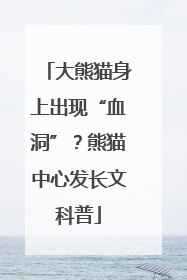 大熊猫身上出现“血洞”？熊猫中心发长文科普