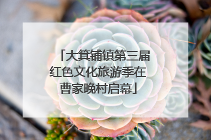 大箕铺镇第三届红色文化旅游季在曹家晚村启幕