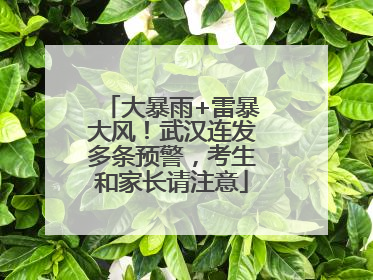 大暴雨+雷暴大风！武汉连发多条预警，考生和家长请注意