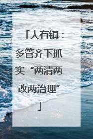 大有镇：多管齐下抓实“两清两改两治理”