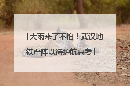 大雨来了不怕！武汉地铁严阵以待护航高考