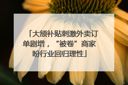 大额补贴刺激外卖订单剧增，“被卷”商家盼行业回归理性