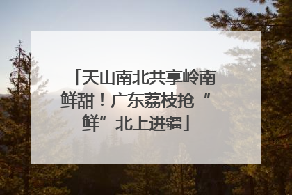 天山南北共享岭南鲜甜！广东荔枝抢“鲜”北上进疆