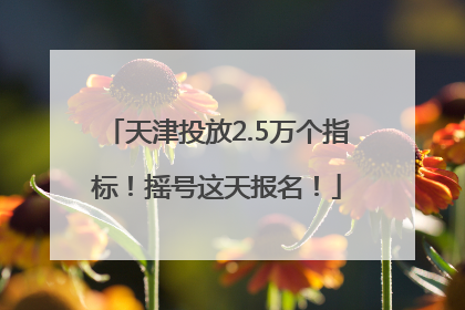 天津投放2.5万个指标！摇号这天报名！