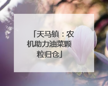 天马镇：农机助力油菜颗粒归仓