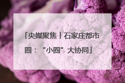 央媒聚焦丨石家庄都市圈：“小圈”大协同