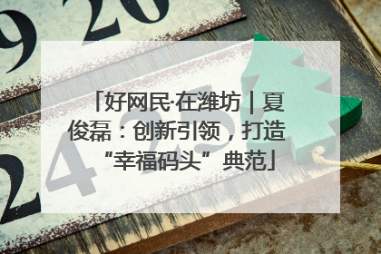 好网民·在潍坊｜夏俊磊：创新引领，打造“幸福码头”典范