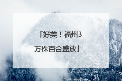 好美！福州3万株百合盛放