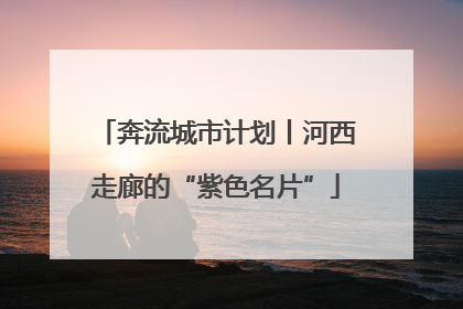 奔流城市计划丨河西走廊的“紫色名片”