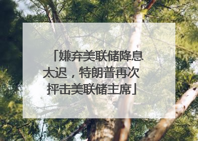 嫌弃美联储降息太迟，特朗普再次抨击美联储主席