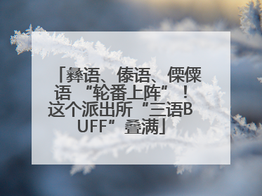 彝语、傣语、傈僳语 “轮番上阵”！这个派出所“三语BUFF”叠满