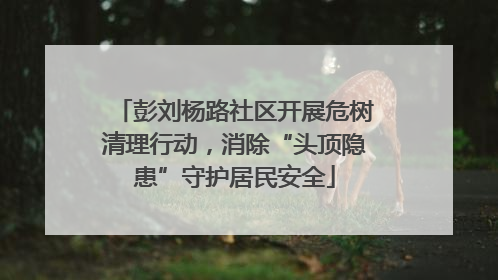 彭刘杨路社区开展危树清理行动，消除“头顶隐患”守护居民安全