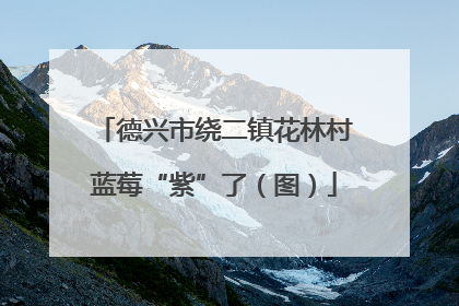 德兴市绕二镇花林村蓝莓“紫”了（图）