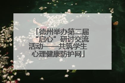 德州举办第二届“启心”研讨交流活动——共筑学生心理健康防护网