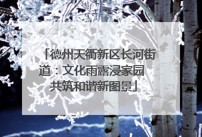 德州天衢新区长河街道：文化雨露浸家园 共筑和谐新图景