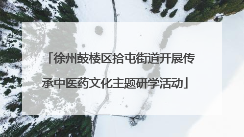 徐州鼓楼区拾屯街道开展传承中医药文化主题研学活动