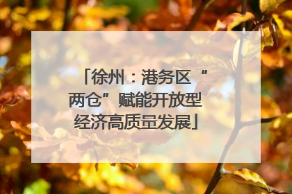 徐州：港务区“两仓”赋能开放型经济高质量发展