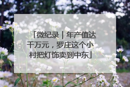 微纪录｜年产值达千万元，罗庄这个小村把灯饰卖到中东