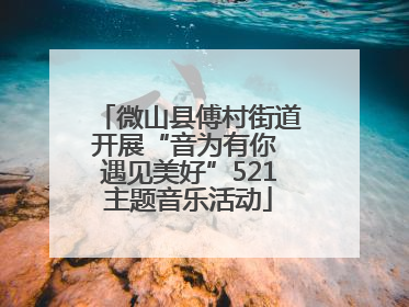 微山县傅村街道开展“音为有你 遇见美好”521主题音乐活动
