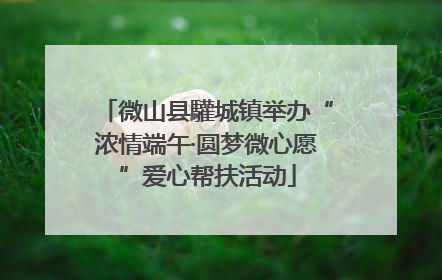 微山县驩城镇举办“浓情端午·圆梦微心愿”爱心帮扶活动