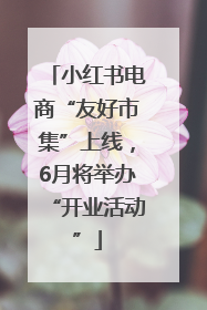 小红书电商“友好市集”上线，6月将举办“开业活动”