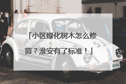 小区绿化树木怎么修剪？淮安有了标准！