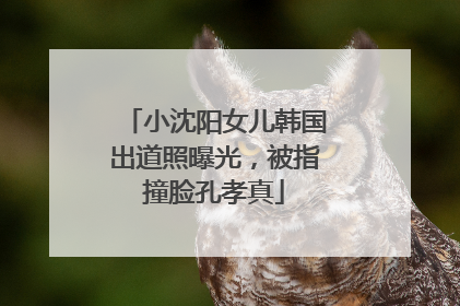 小沈阳女儿韩国出道照曝光，被指撞脸孔孝真