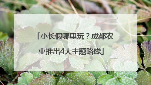 小长假哪里玩？成都农业推出4大主题路线