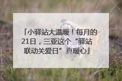 小驿站大温暖！每月的21日，三亚这个“驿站联动关爱日”真暖心