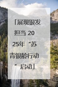 展现银发担当 2025年“苏青银龄行动”启动