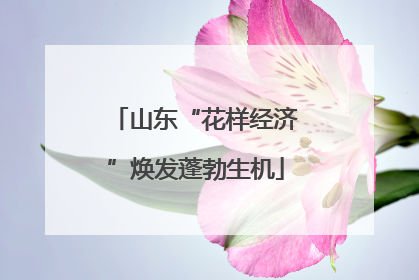 山东“花样经济”焕发蓬勃生机