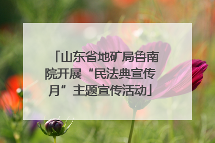 山东省地矿局鲁南院开展“民法典宣传月”主题宣传活动