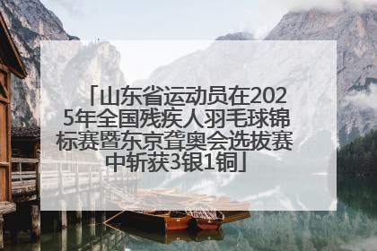 山东省运动员在2025年全国残疾人羽毛球锦标赛暨东京聋奥会选拔赛中斩获3银1铜