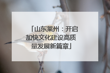山东莱州：开启加快文化建设高质量发展新篇章
