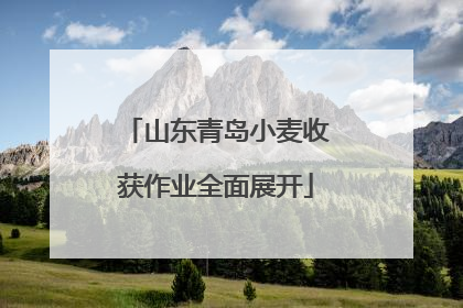 山东青岛小麦收获作业全面展开