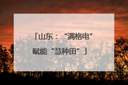 山东：“满格电”赋能“慧种田”