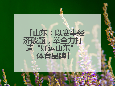 山东：以赛事经济破题，举全力打造“好运山东” 体育品牌