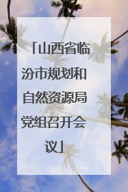 山西省临汾市规划和自然资源局党组召开会议