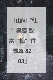 山间“红”果缀 致富“梅”香飘& 8203