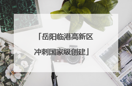 岳阳临港高新区冲刺国家级创建