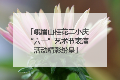 峨眉山桂花二小庆“六一”艺术节表演活动精彩纷呈