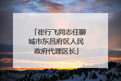 崔行飞同志任聊城市东昌府区人民政府代理区长