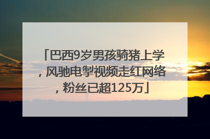 巴西9岁男孩骑猪上学，风驰电掣视频走红网络，粉丝已超125万