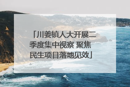 川姜镇人大开展二季度集中视察 聚焦民生项目落地见效
